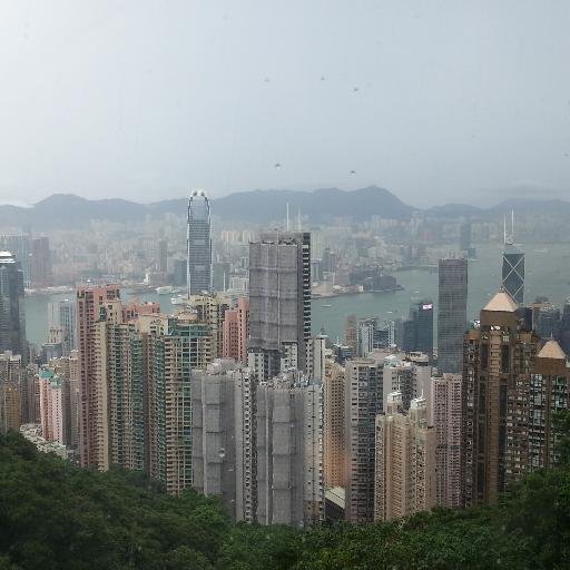 tomli8888888's profile picture. 