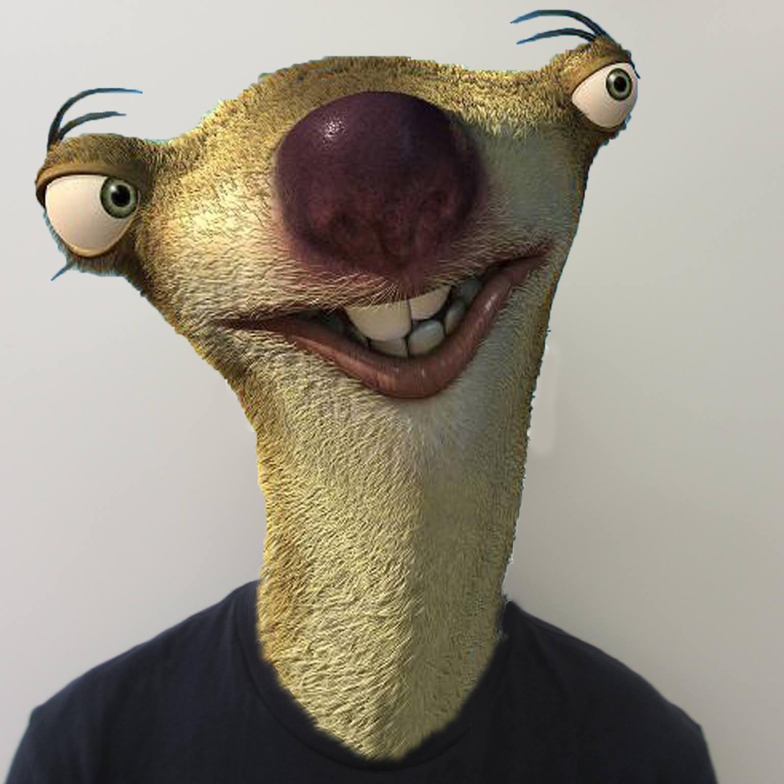 Sebviking811's profile picture. 