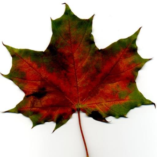 cbpm_dsa's profile picture. UK assessment consultancy for HE students with disability / specific learning difficulty, providing info to universities & funding bodies / government