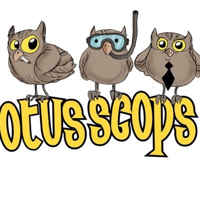 otusscopssurf's profile picture. Power tío de surf rock instrumental
Grupo de rock con poca o escasa distorsión, preparado para el asalto y las operaciones relámpago