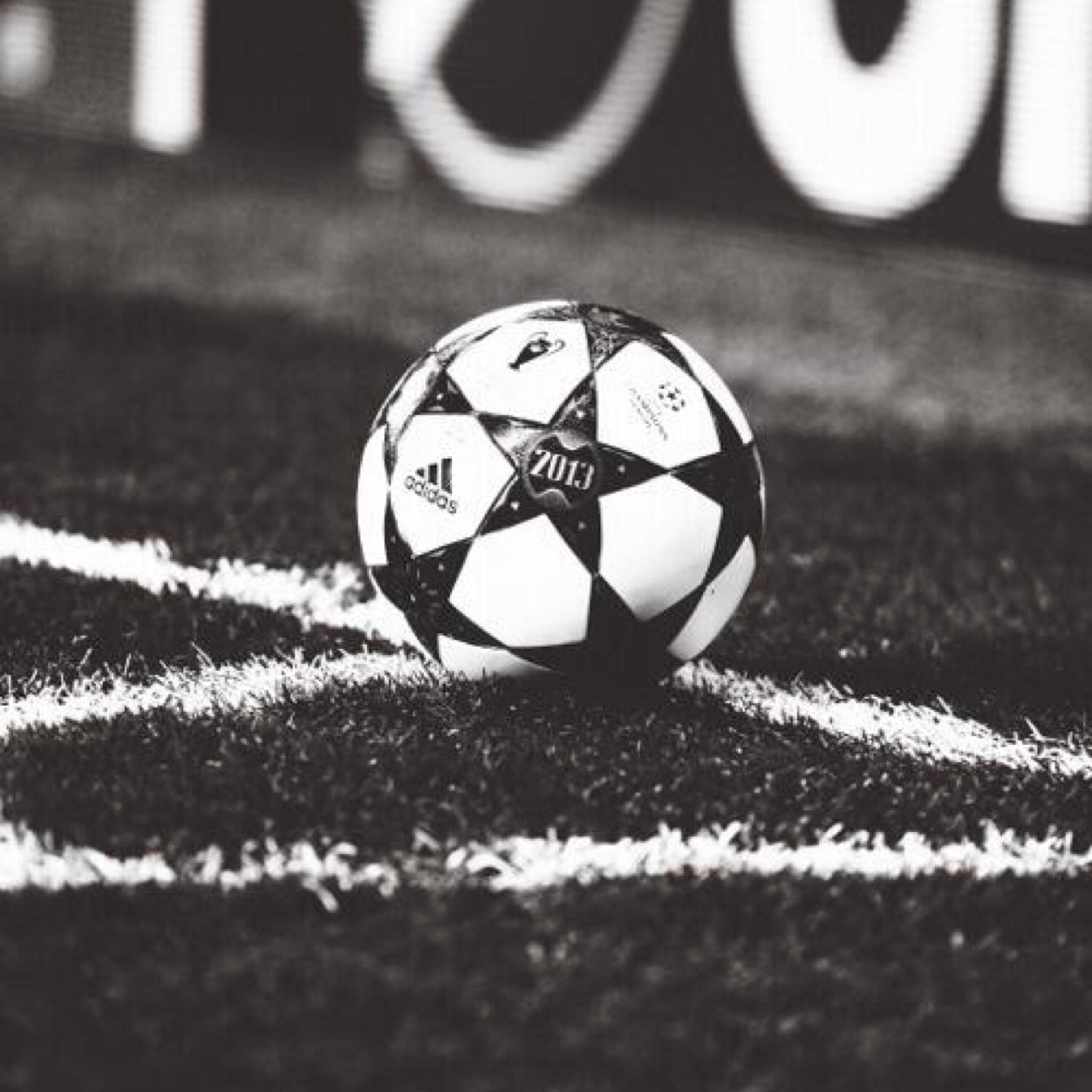 cccaa33's profile picture. 