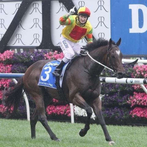 Lankan Rupee Profile