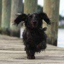 Lisa Bensinger - @LisaBensinger1 - Twitter