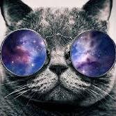 iMeewsick's profile picture. Programmer on C, C++, PHP, Java. 
Phone&iCloud hacker !