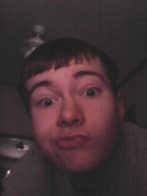Herp Derp