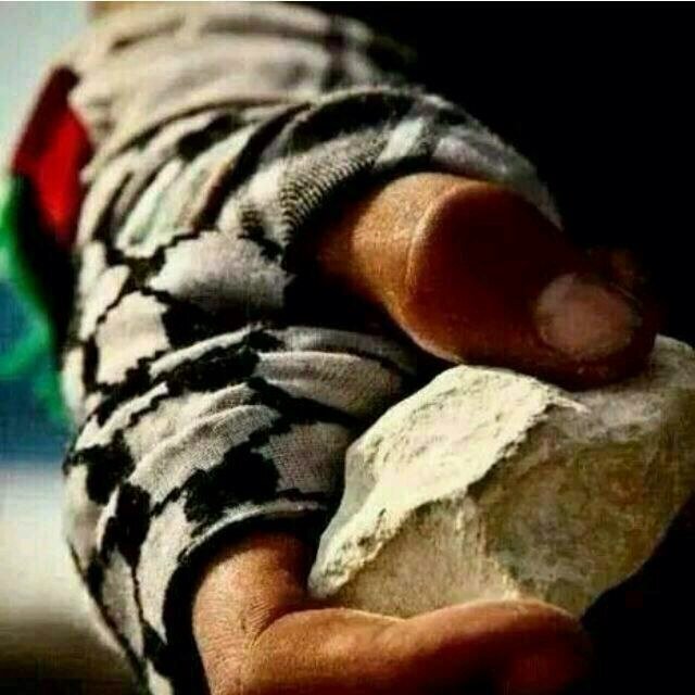 sanillolodosa's profile picture. sonrie, no cuesta dinero y da felicidad