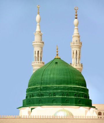 alatalal1400's profile picture. 