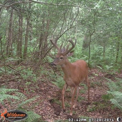 New England Outdoorsman. A page of hunting, fishing, and enjoying the outdoors based out of New England. Follow us on instagram http://t.co/JIy0Bx1QaX