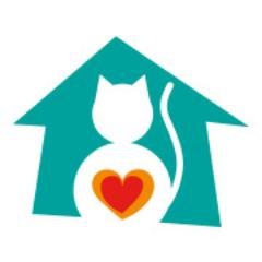 LuckyLittlePaws's profile picture. We are no-kill cat rescue and adoption shelter in Adelaide. We  work to rehome and rehabilitate all our rescue cats, and never euthanise a healthy cat!
