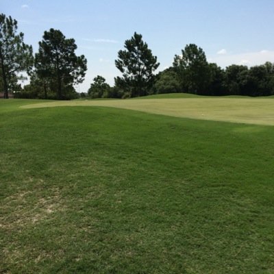 deckhart318's profile picture. 