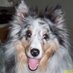 Gwen Riechmann (@miracle2b1) Twitter profile photo Gwen Riechmann (@miracle2b1) Twitter profile photo