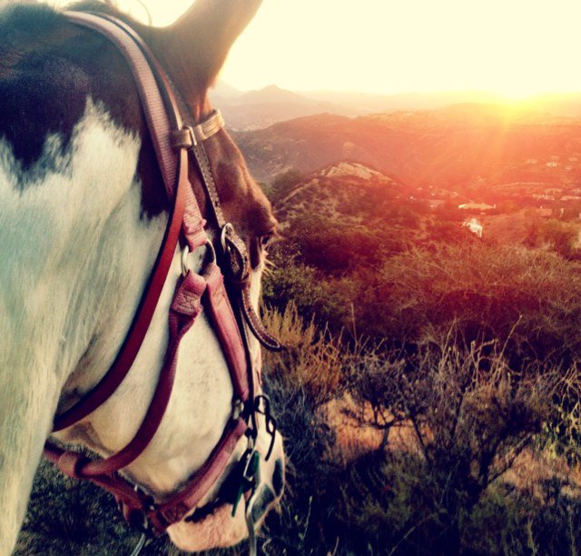 LOCKNLOADPICS's profile picture. Lock N Load Pictures is an award winning film production - development outfit