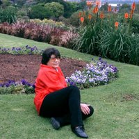 elbazap1 (@elbazap1) 's Twitter Profile