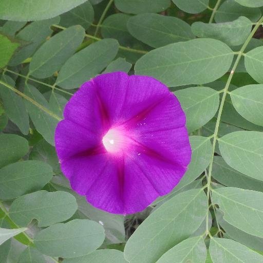 송추 IC부근 장흥면에 새로 생긴낙지복음과 오리 철판 전골 전문점 입니다.
맛있고 푸짐하고 착한 가격으로 여러분을 기다리고 있습니다.
느티나무, 송추유원지 정류장.
3700, 7200, 7300, 34, 360, 37, 8906, 7100번버스 이용