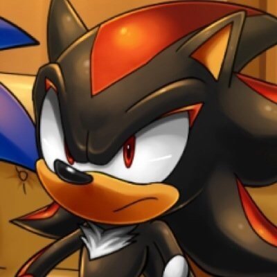 I made a promise to her, and I intend to keep it... My name is Shadow the Hedgehog, I am the ultimate lifeform! #Multi-Canon