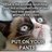 angrycatsmind's profile image