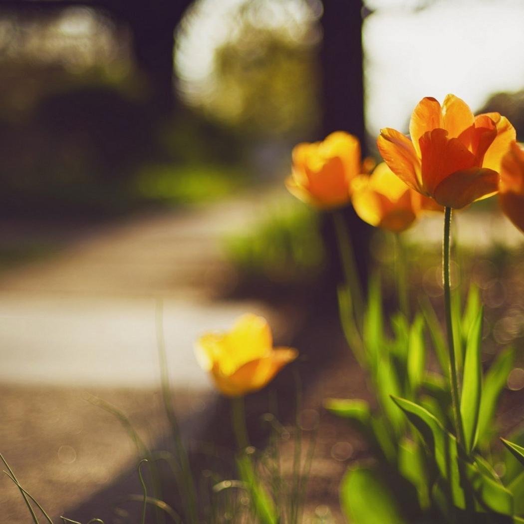 hinuranti's profile picture. 