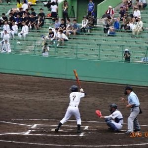 おーしま。