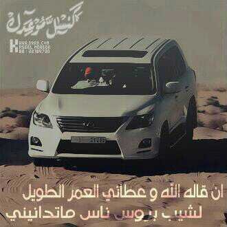 3ef50865c7a04c8's profile picture. 