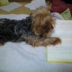 好きなこと→日記を書くこと、読書すること、色々考えること(哲学カフェ)、笑うこと、日帰りでふらっと出掛けること