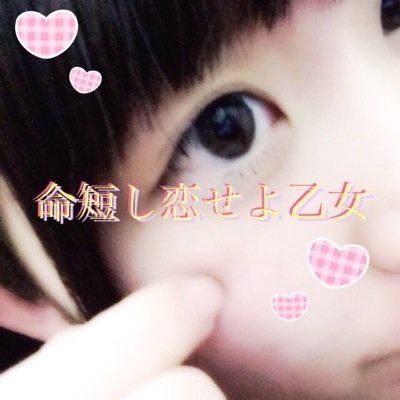 きゃろちゃんさんのプロフィール画像