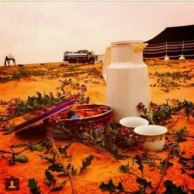 متذوق للشعر اكتب القليل

           مهدالذهب