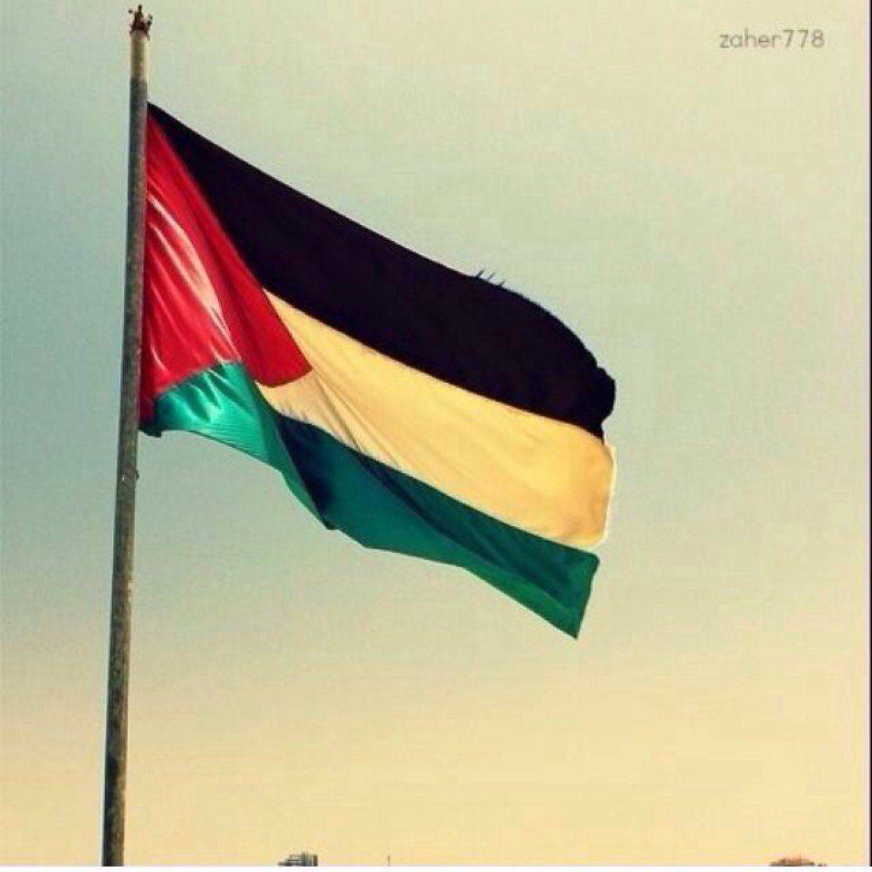 #مسلمة #عربية #فلسطينية يا هيك الفخر يا بلا :)