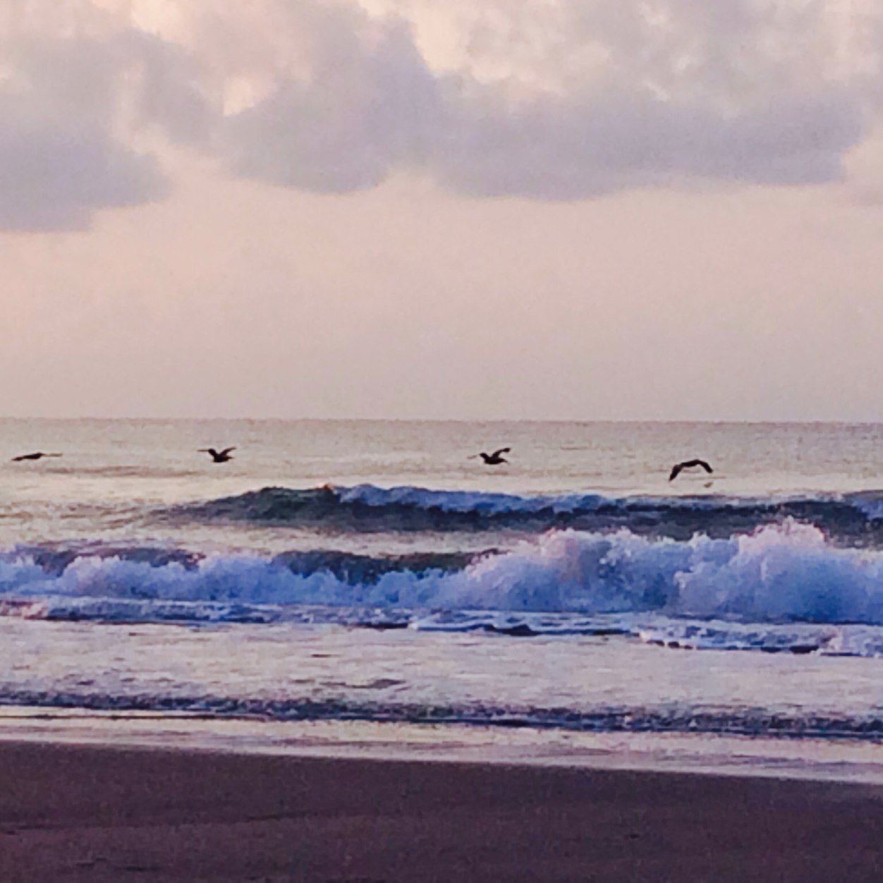 bobrudisill's profile picture. 