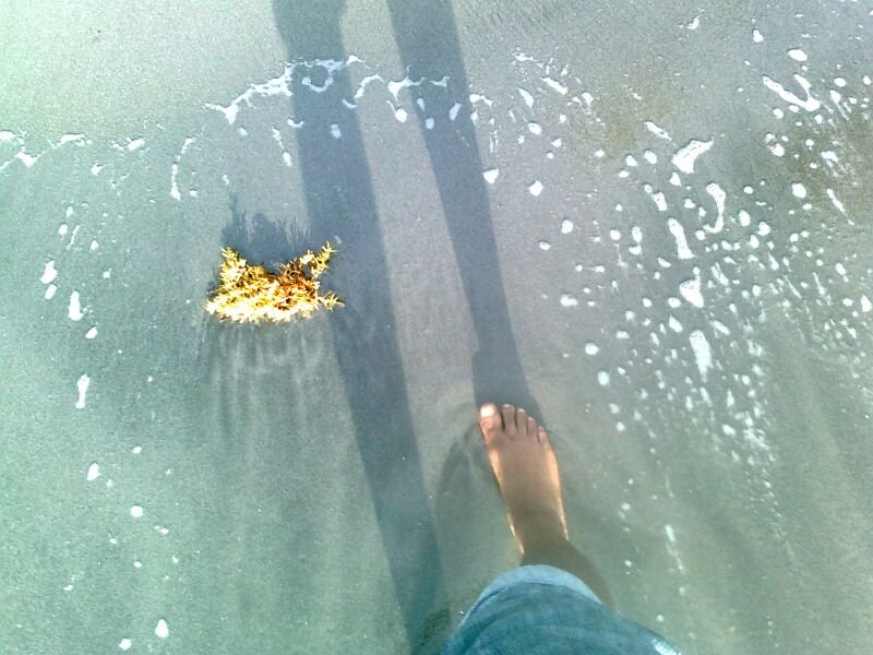 maryrespektekow's profile picture. 