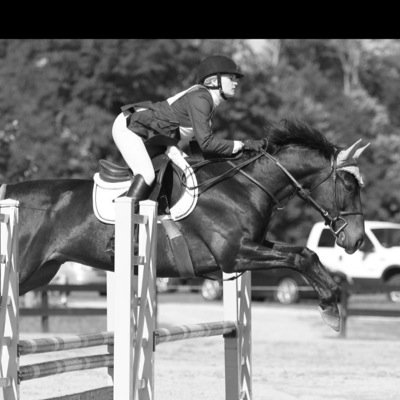 TLCstable's profile picture. new hunter jumper barn Horse and/or rider training and boarding barn
We do eventing,foxhunting,hunter,jumpers,
pony club and 4H 
Everyone welcome