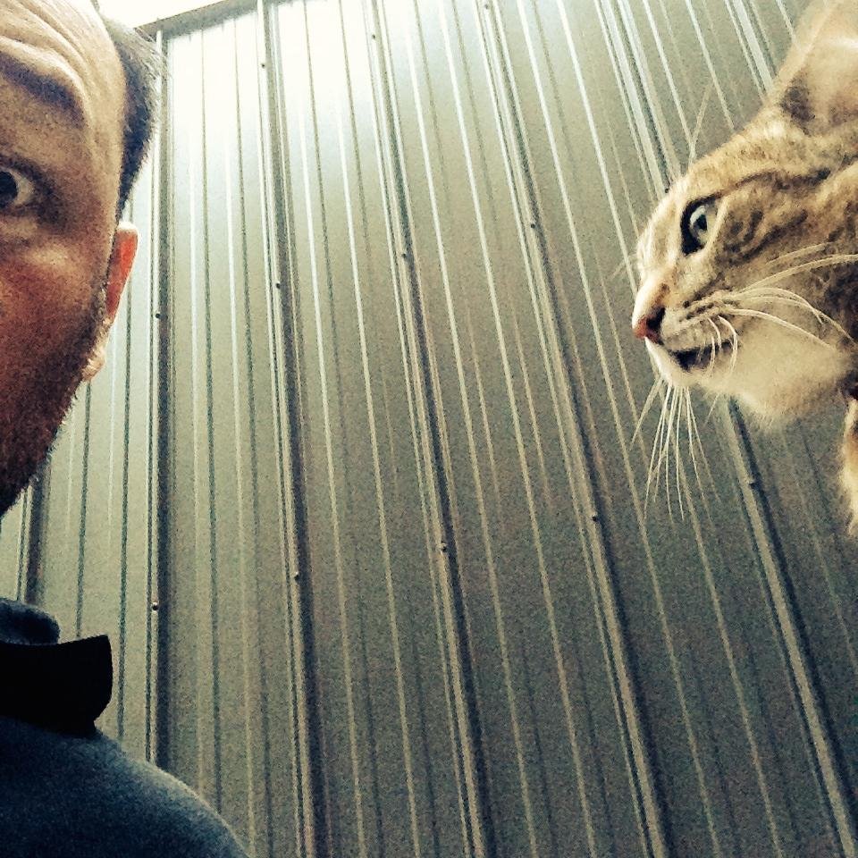 BandeetoColin's profile picture. is still not an adult. but i'm working on it.