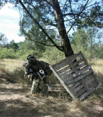 paintballeddie's profile picture. I am a pro paintball player for kzn and gamer .