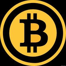 Investor in Bitcoin and Litecoin currency