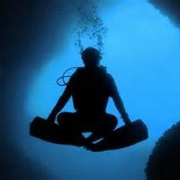 similandivingC's profile picture. 