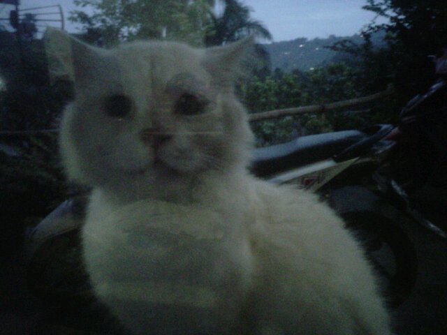 inderian_mirza's profile picture. 