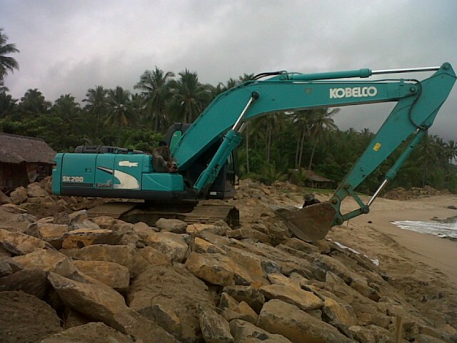 Ferlly__'s profile picture. 