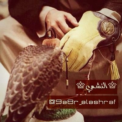 9a8r_alashraf Profile Picture