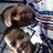 Profile Picture of Abraham Hache (@@hache_abraham) on Twitter