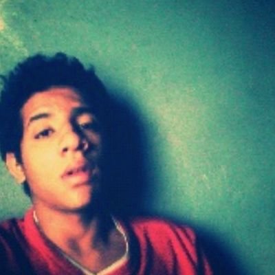 animais, natureza,  café , chá , Teatro, música,  fotografia, poesia ♥ sigo tds de novo