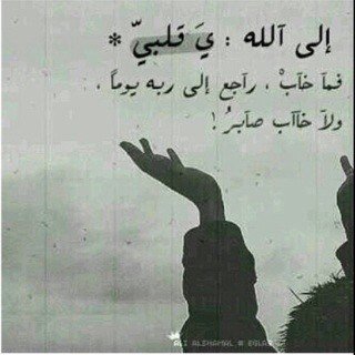 فديت طاري (عبس) يوم يطرونه
ياتاج رآسي ياعـز ابوي وجــدي
لاقيل وشلون الفخر قلت وشلونه
شفني (رشيديه) ومنهو بالفخر قدي