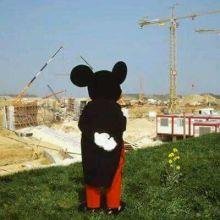 heiheihei91's profile picture. ﾃﾞﾌﾞｽが大丈夫で寛容な人以外は逃げて～(≧▽≦)ゎ-♪楽しくえっちがしたいです ﾃﾞﾌﾞｽにも人権はあると思うので優しくして下さい(｡･ω･｡) いきなり直ﾒは無理です…