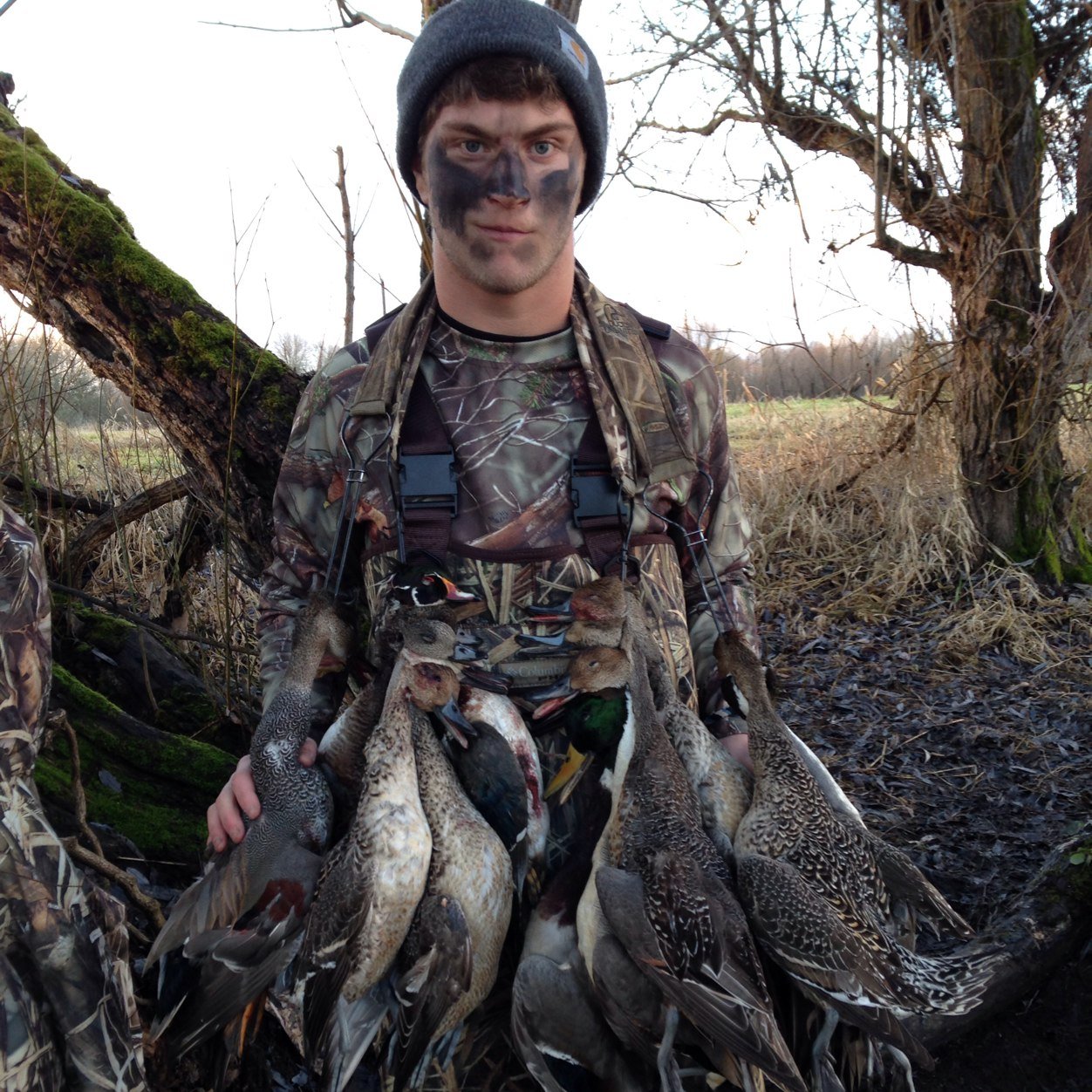 Andersen1032's profile picture. Fear regret not failure ⚡️
It flies it dies, it hops it drops
Every mile a memory