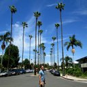 Aaron Pack - @apack66 - Twitter