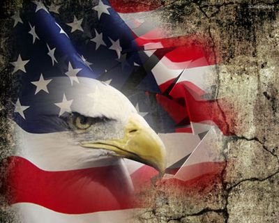 Just an average American with a dream that America will find its way back to the path that it was meant to follow #pro-gun #pro-life