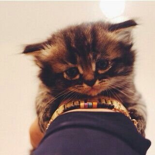 NonyAlmtary's profile picture. 