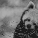 Jerry Samuels - @SamuelsJerry - Twitter