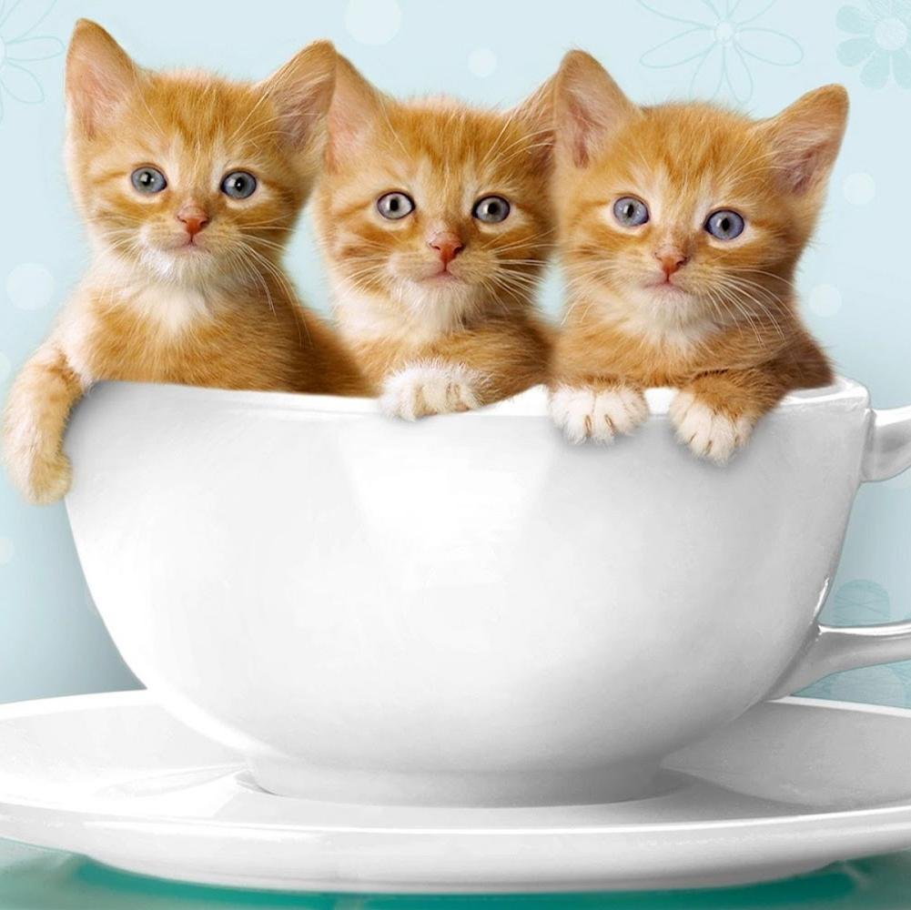 erte16gdf's profile picture. 