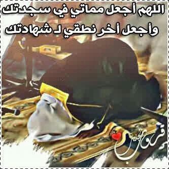 المدينه 756A74CD