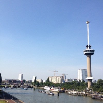 dutchbirdfreya's profile picture. 