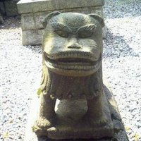 犬上　狸 (@dogtanuki808) Twitter profile photo